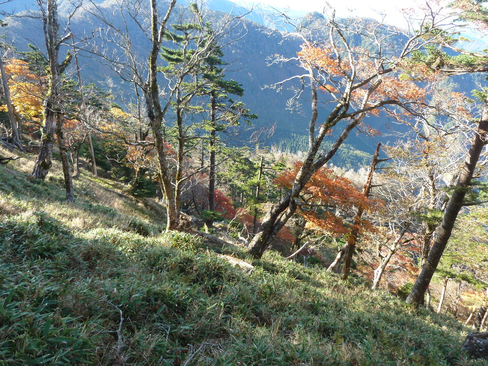 P1180487_mid.jpg