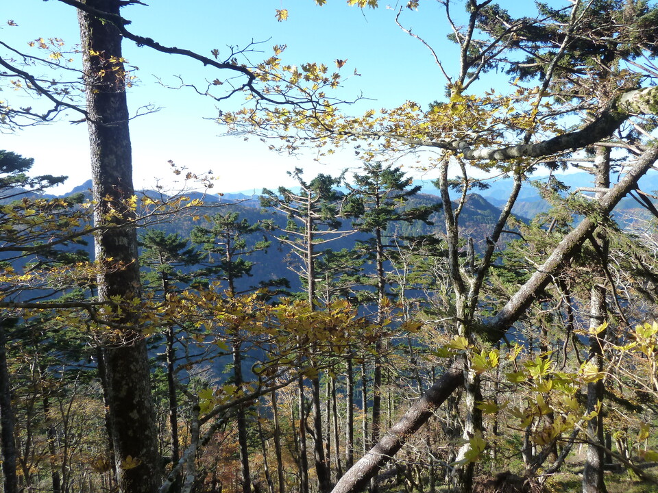 P1180495_mid.jpg