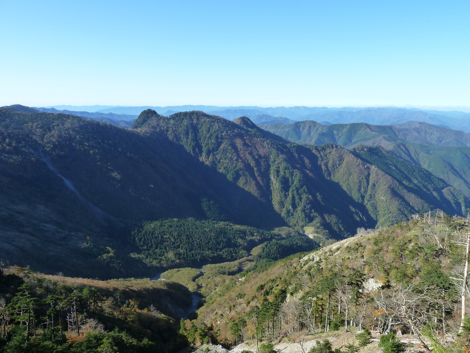 P1180502_mid.jpg