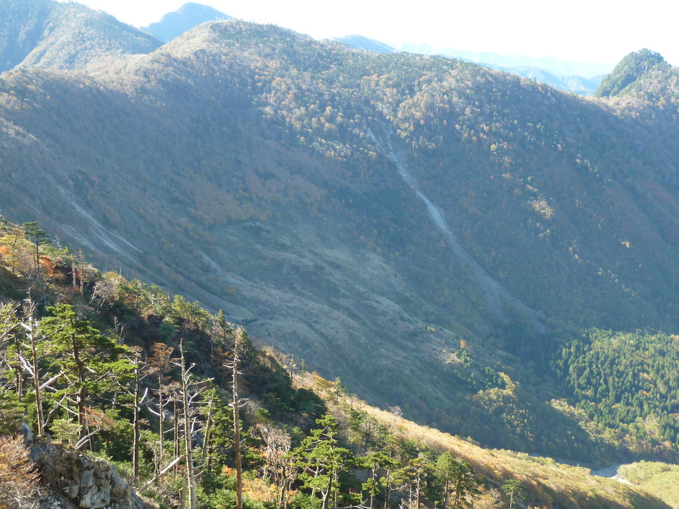 P1180508_mid.jpg