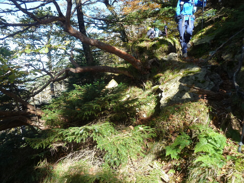 P1180549_mid.jpg