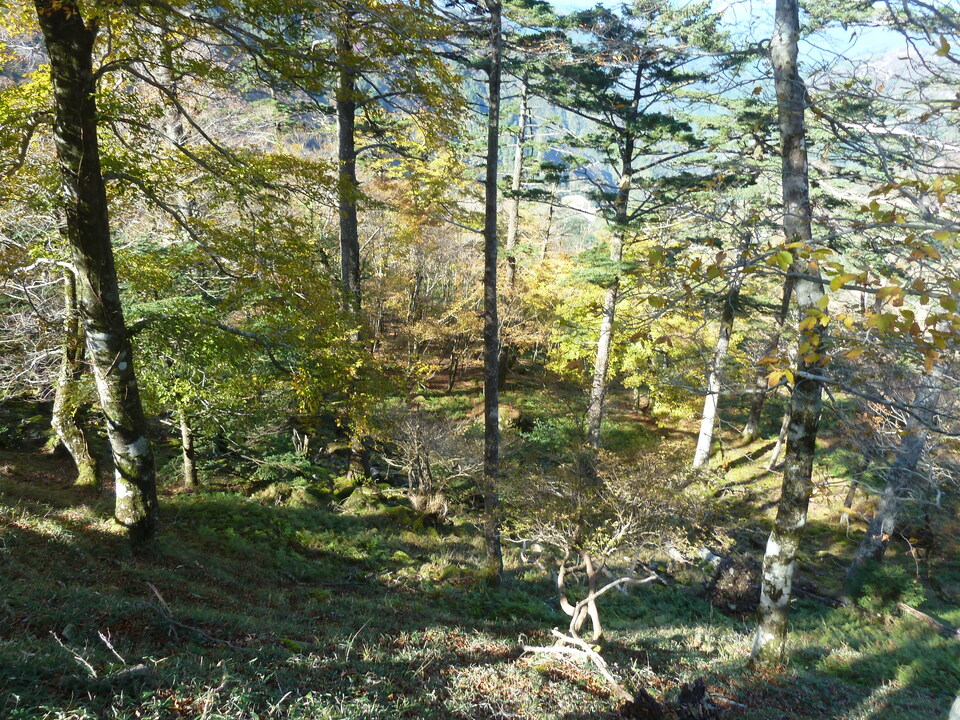 P1180567_mid.jpg