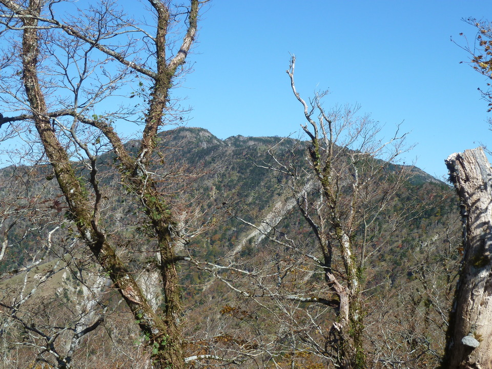 P1180573_mid.jpg