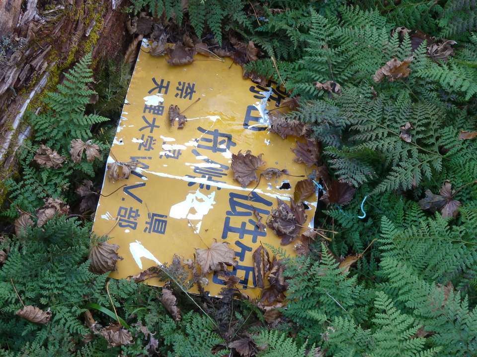 P1180580_mid.jpg