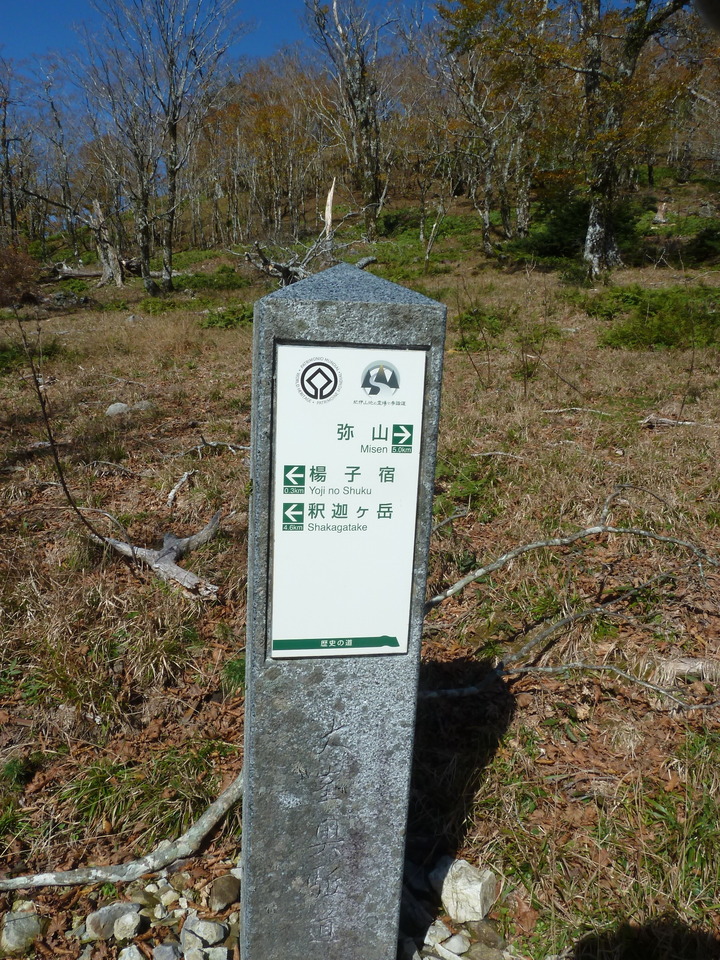 P1180597_mid.jpg