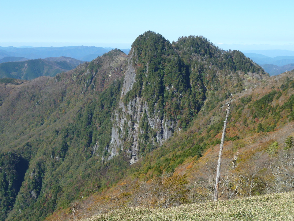 P1180603_mid.jpg