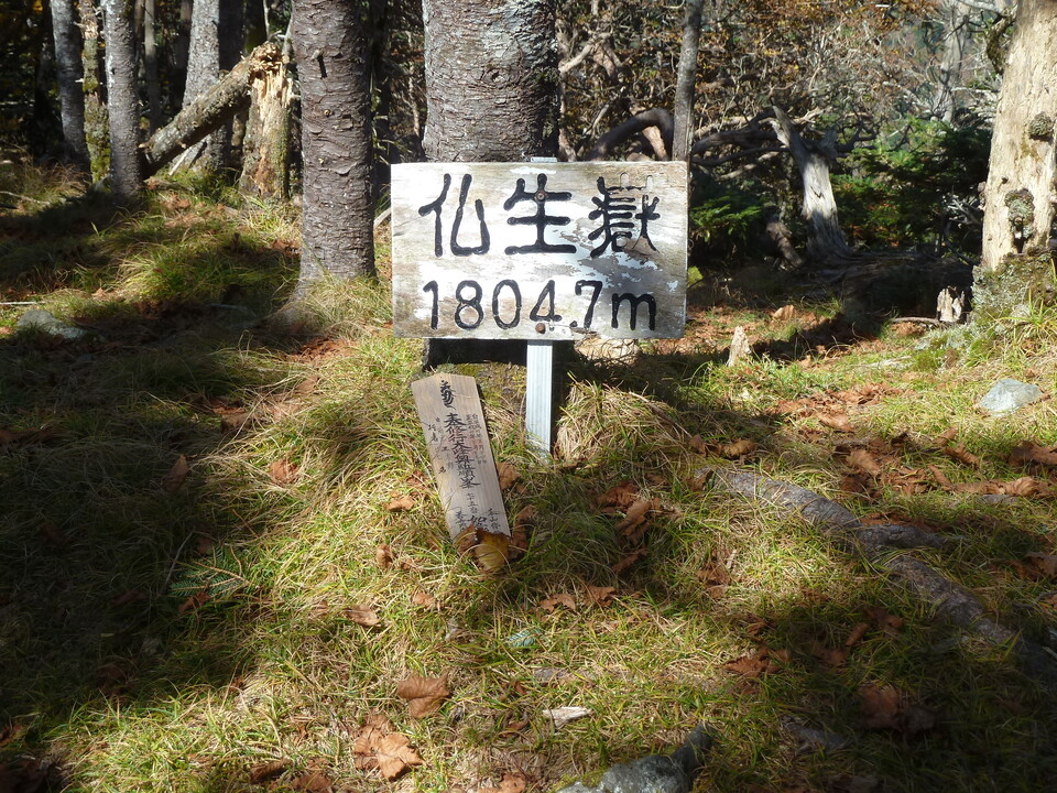 P1180636_mid.jpg
