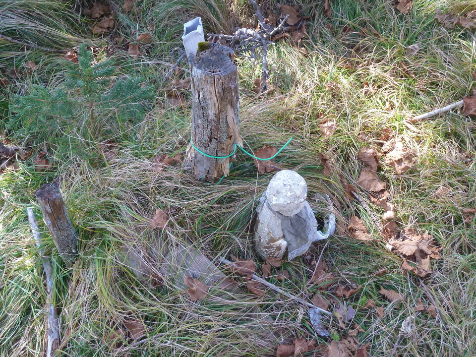 P1180639_mid.jpg