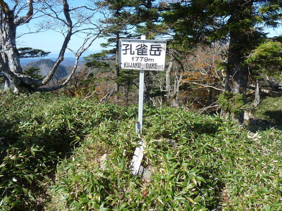 P1180673_mid.jpg