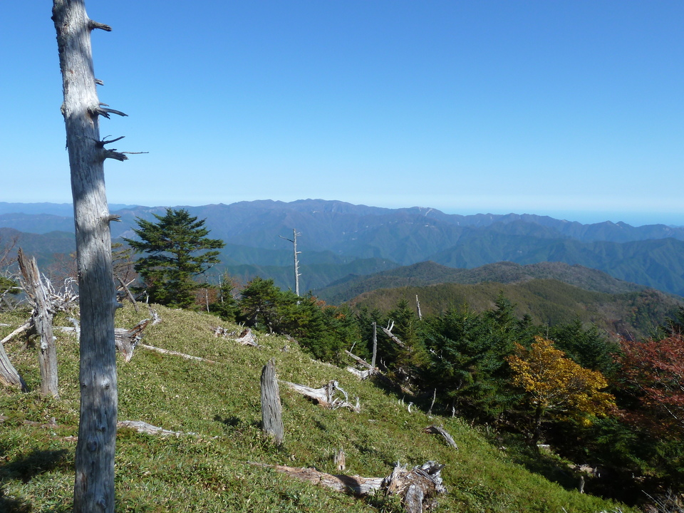 P1180674_mid.jpg