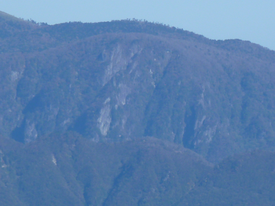 P1180681_mid.jpg