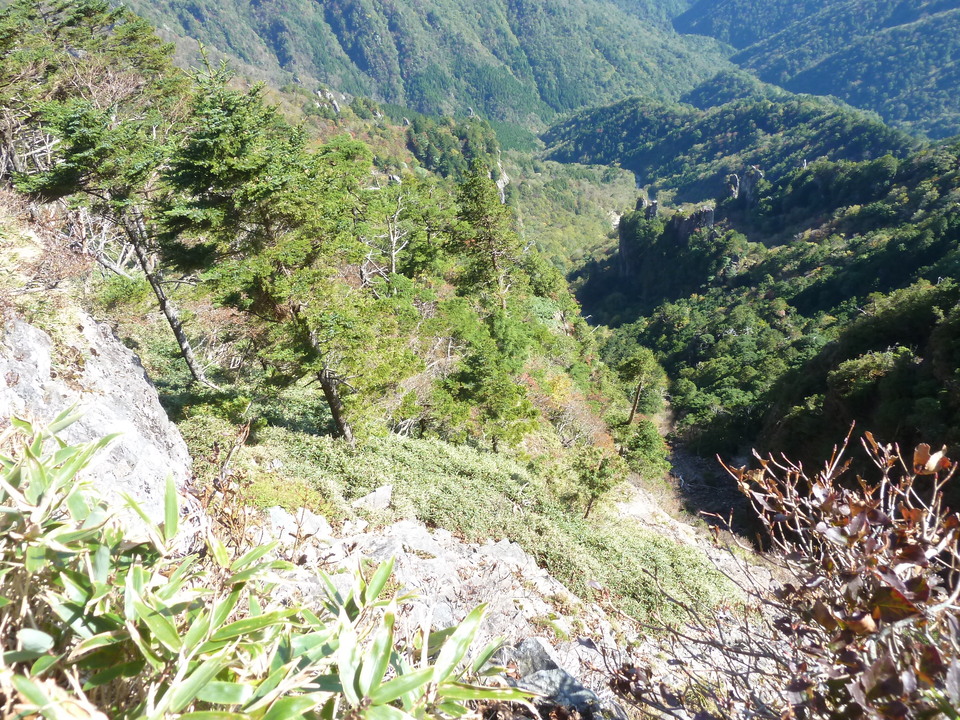 P1180684_mid.jpg