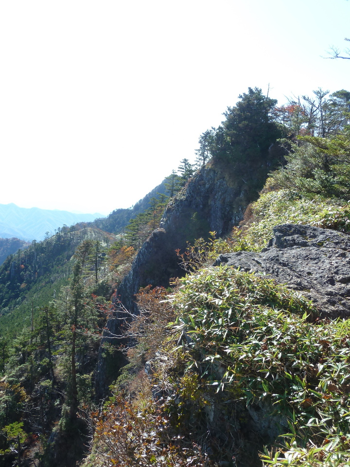 P1180687_mid.jpg