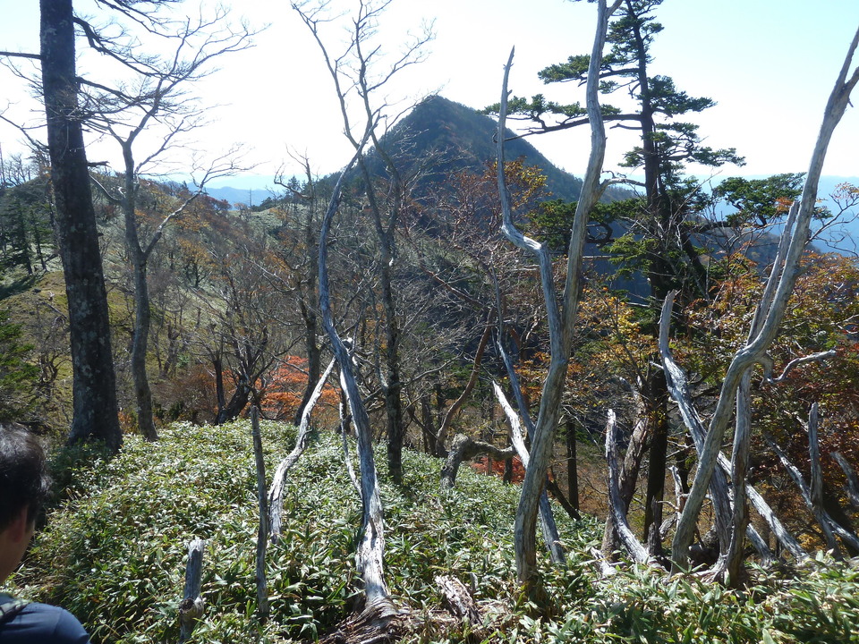 P1180698_mid.jpg