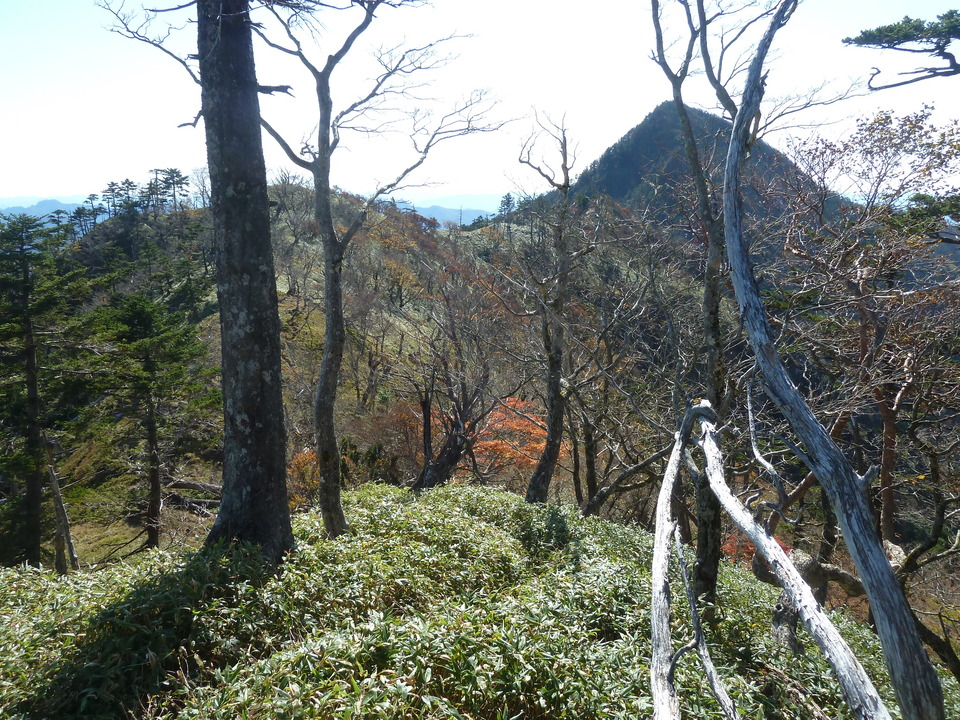 P1180699_mid.jpg