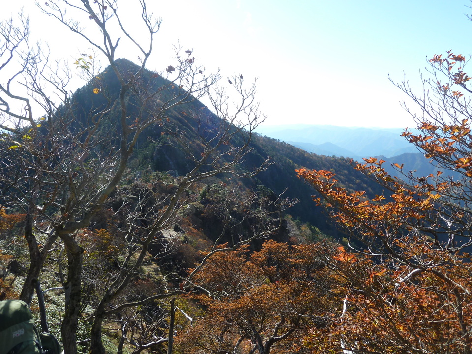 P1180707_mid.jpg