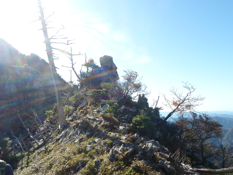P1180733_mid.jpg