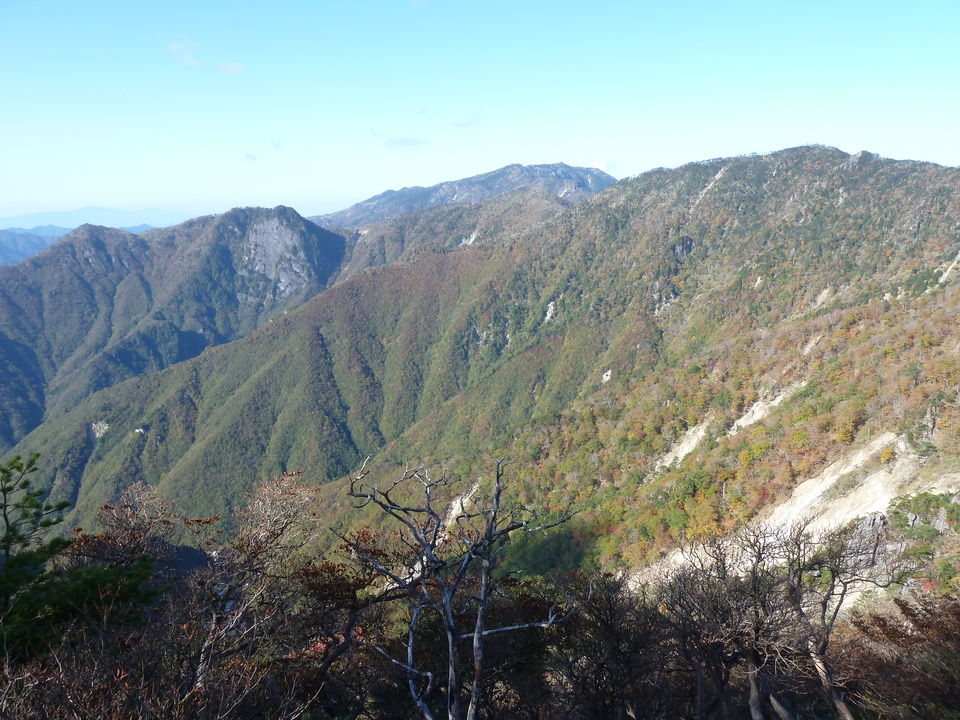 P1180746_mid.jpg