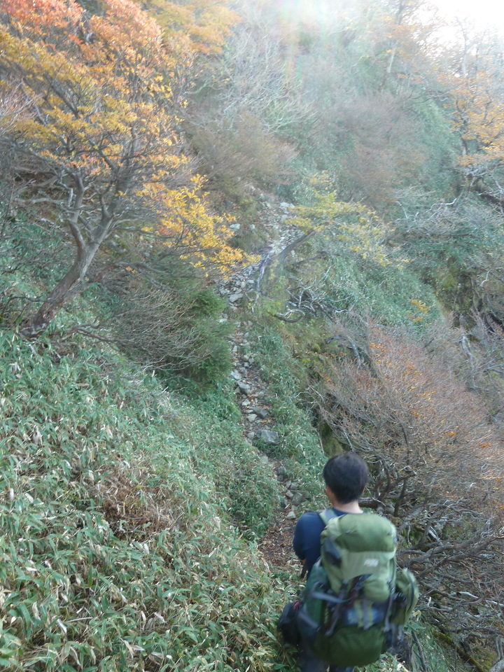 P1180750_mid.jpg