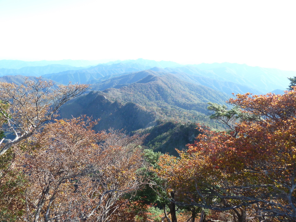 P1180768_mid.jpg