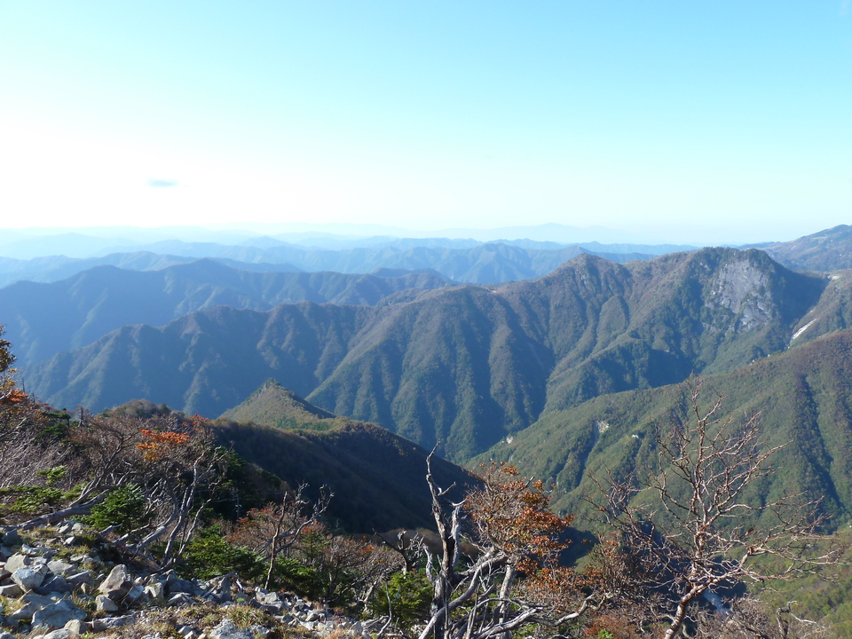 P1180771_mid.jpg
