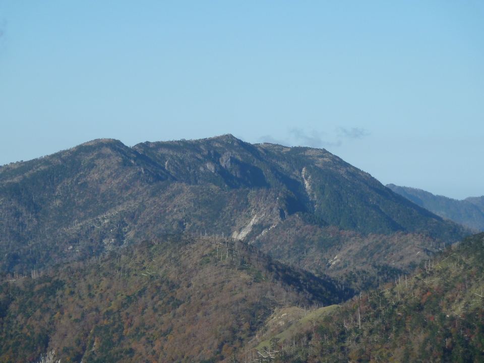 P1180773_mid.jpg