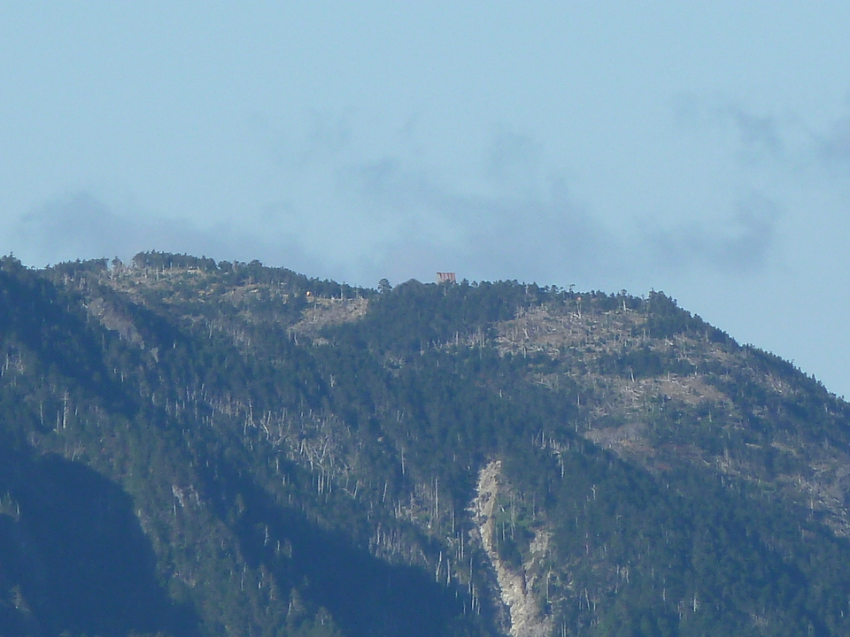 P1180774_mid.jpg