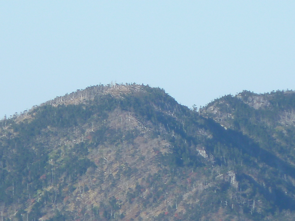 P1180777_mid.jpg