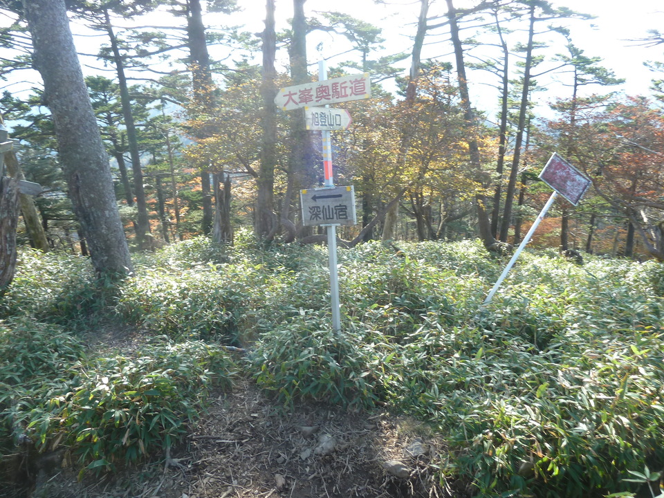 P1180789_mid.jpg