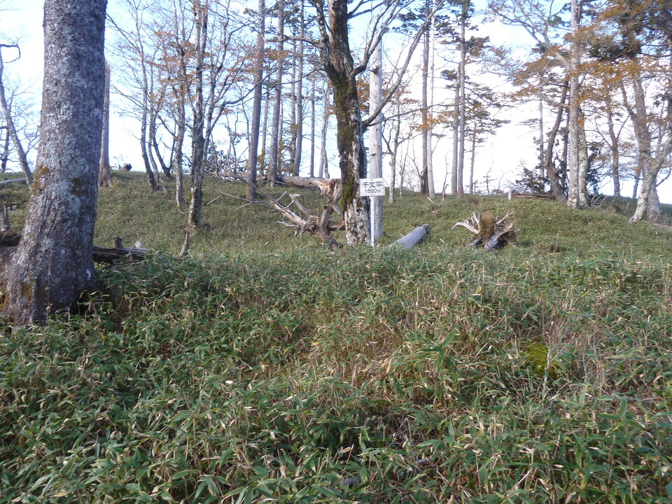 P1180799_mid.jpg