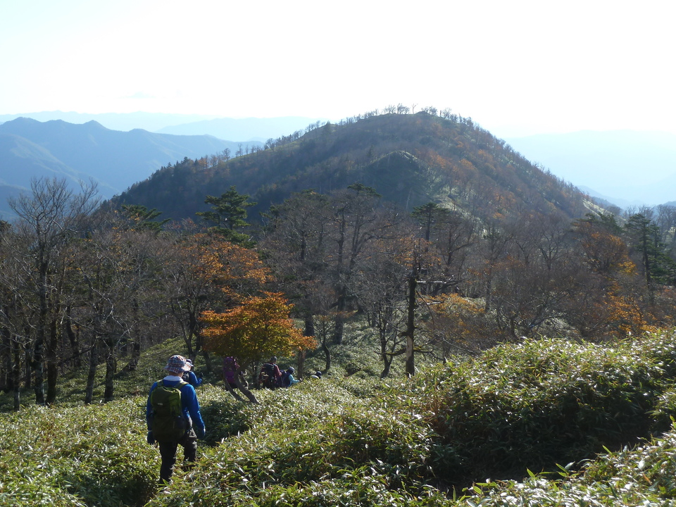 P1180801_mid.jpg