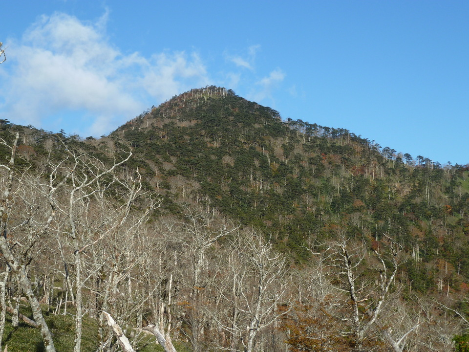 P1180804_mid.jpg