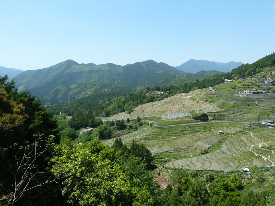 P1210284_mid.jpg