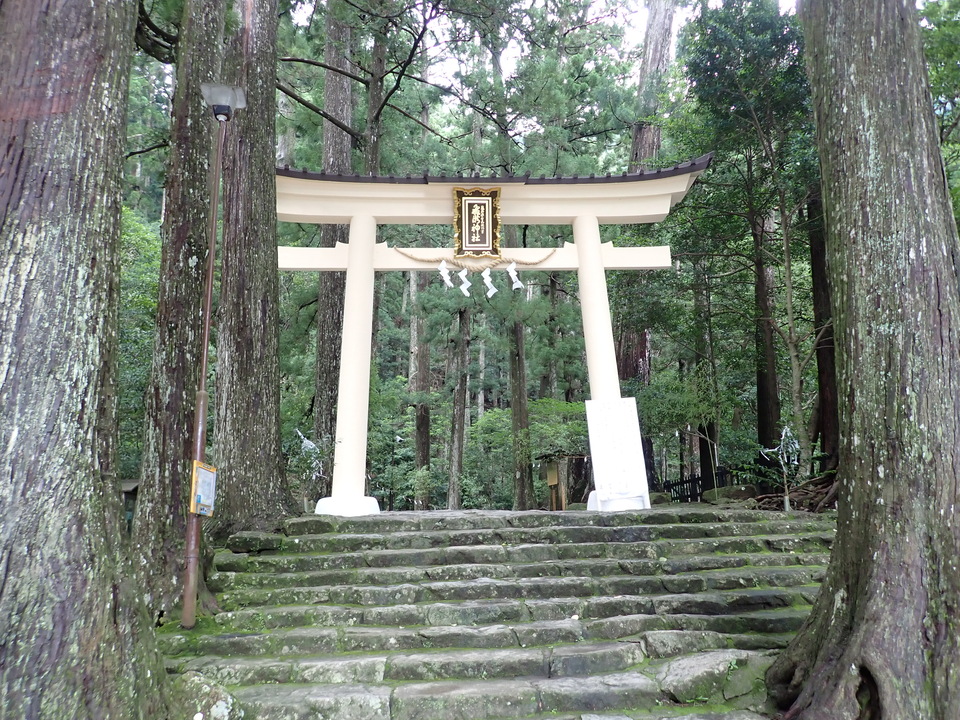 P7125746_mid.jpg