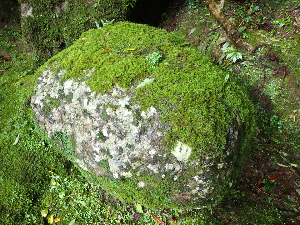 P7125770_mid.jpg