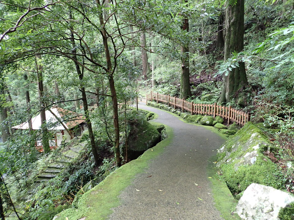 P7125774_mid.jpg