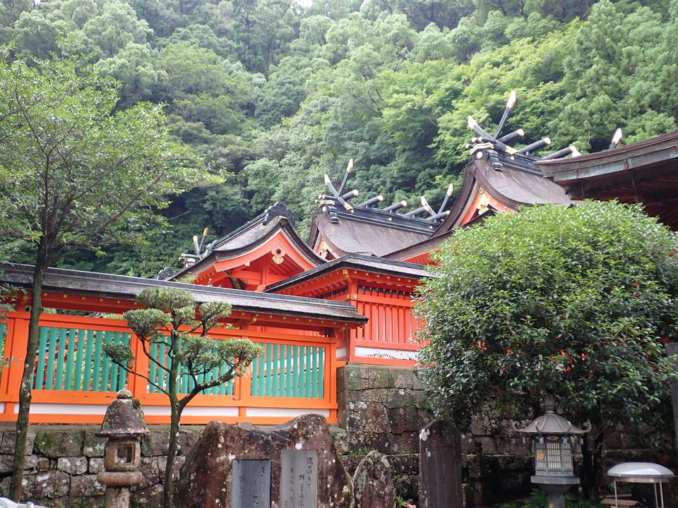 P7125819_mid.jpg