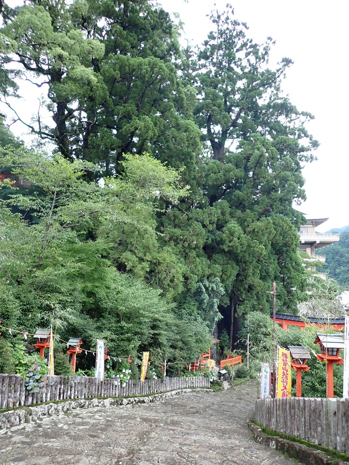 P7125841_mid.jpg