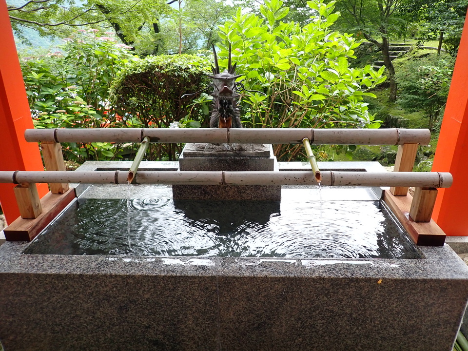 P7125844_mid.jpg