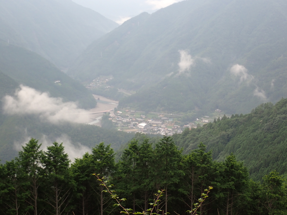 P7245911_mid.jpg