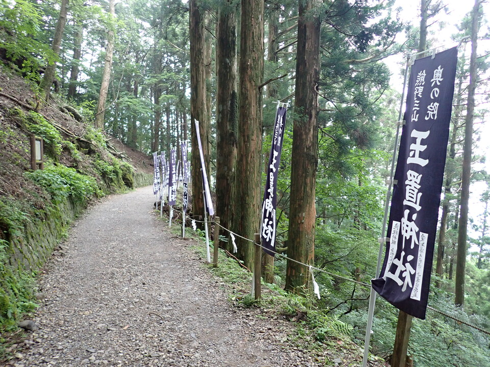 P7245924_mid.jpg