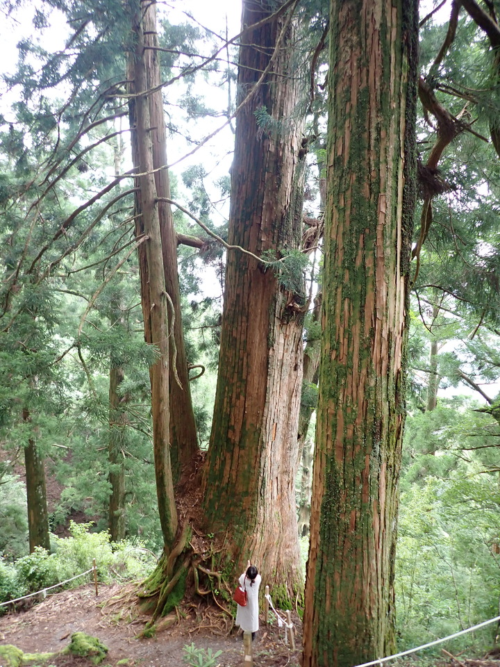 P7245938_mid.jpg
