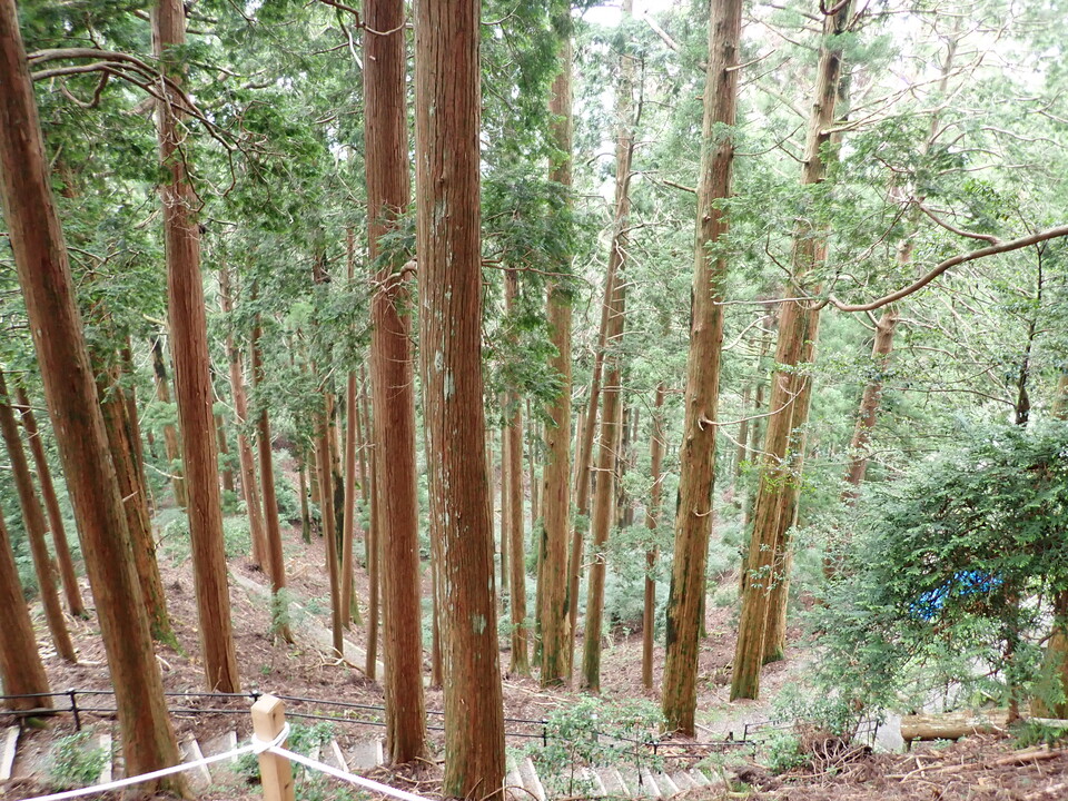 P7245965_mid.jpg
