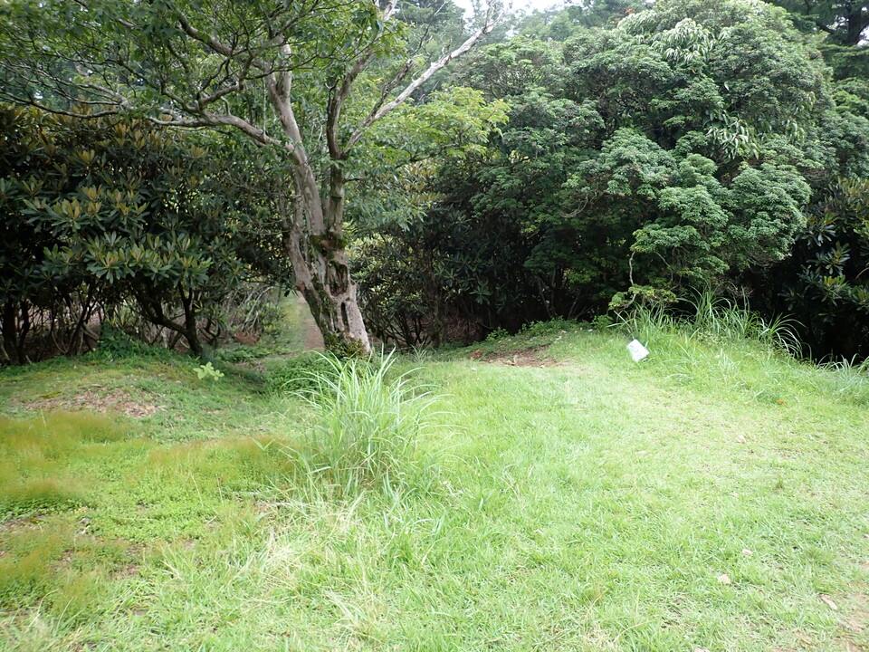P7245973_mid.jpg