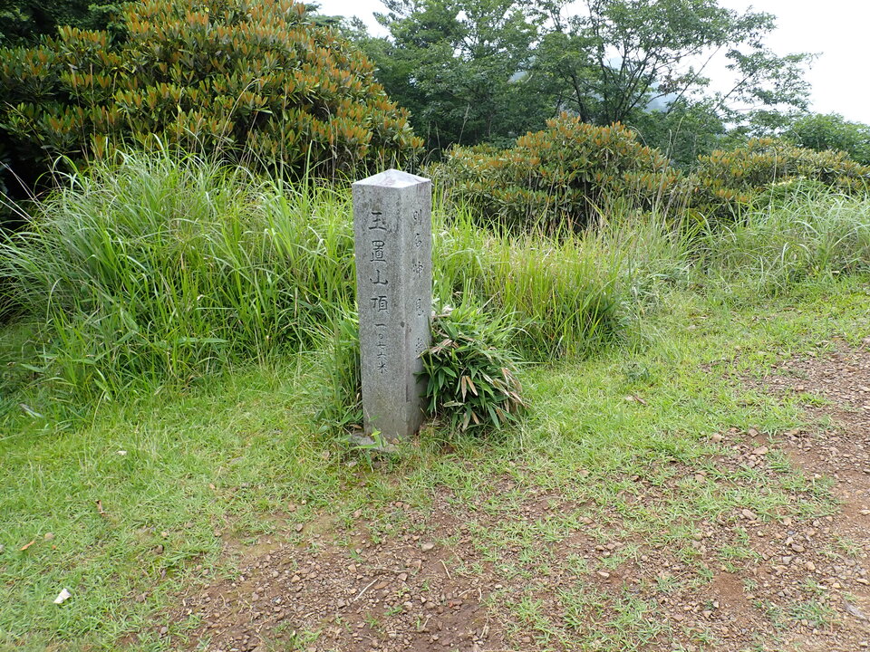 P7245974_mid.jpg