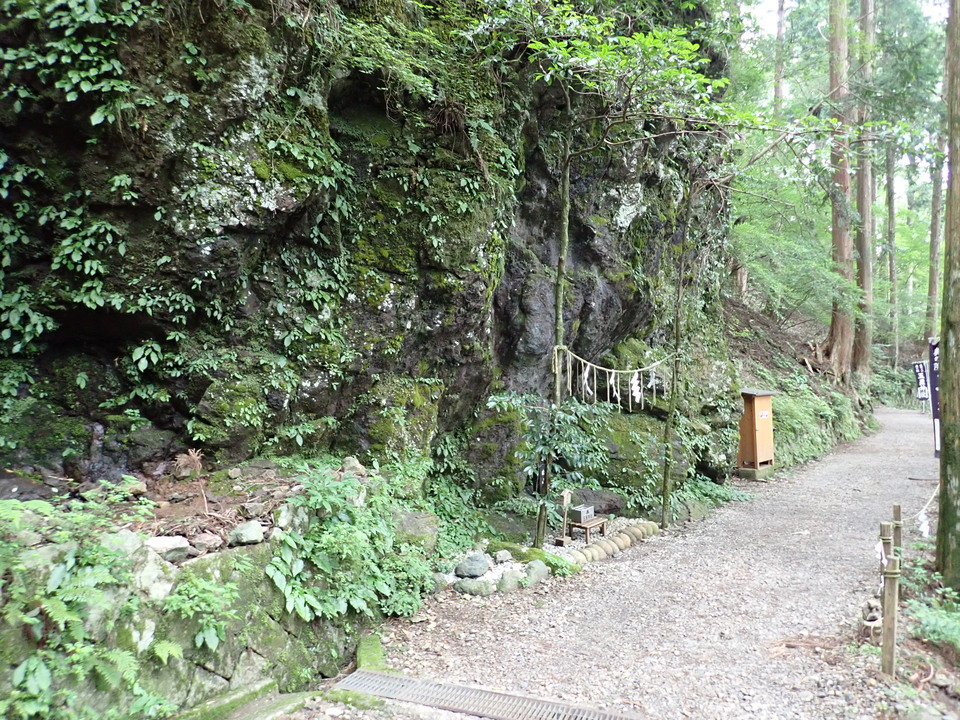 P7245985_mid.jpg