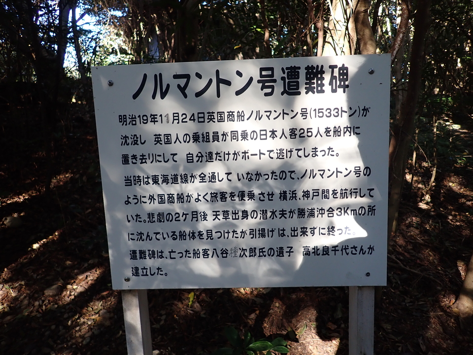 PB246518_mid.jpg