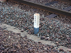 16_Takihara_03_thumb.png