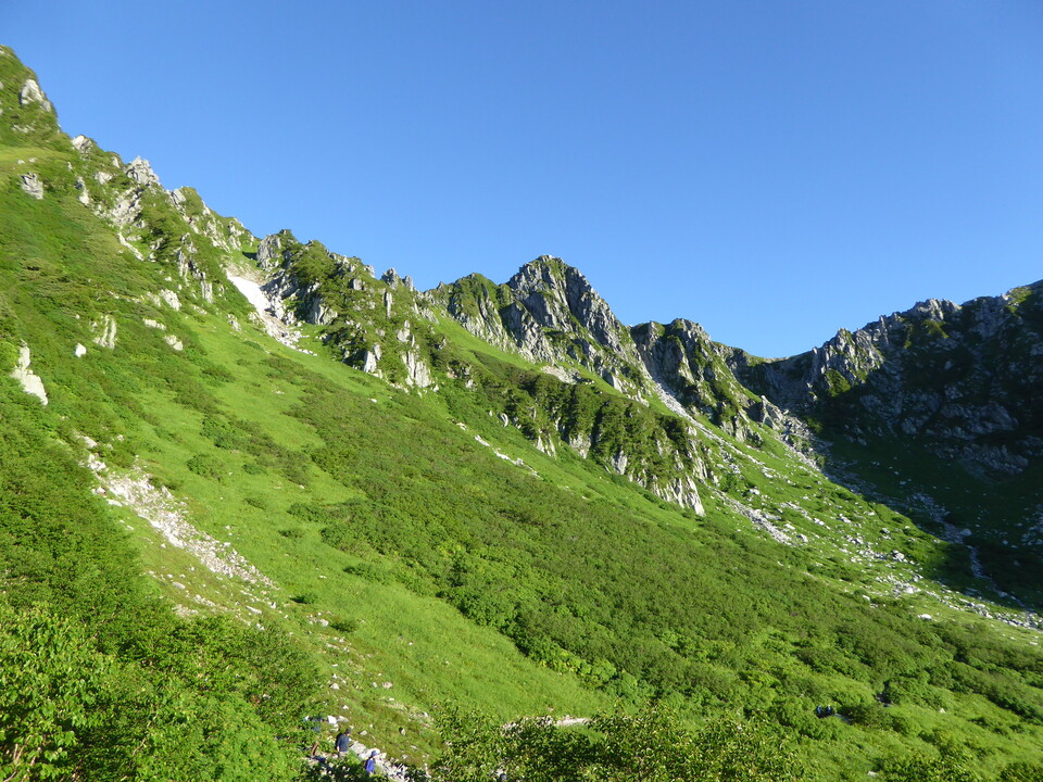 P1040598_mid.jpg