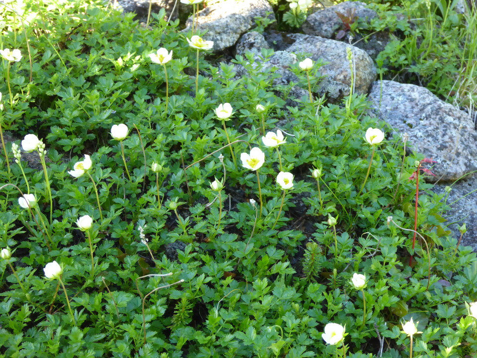 P1040608_mid.jpg